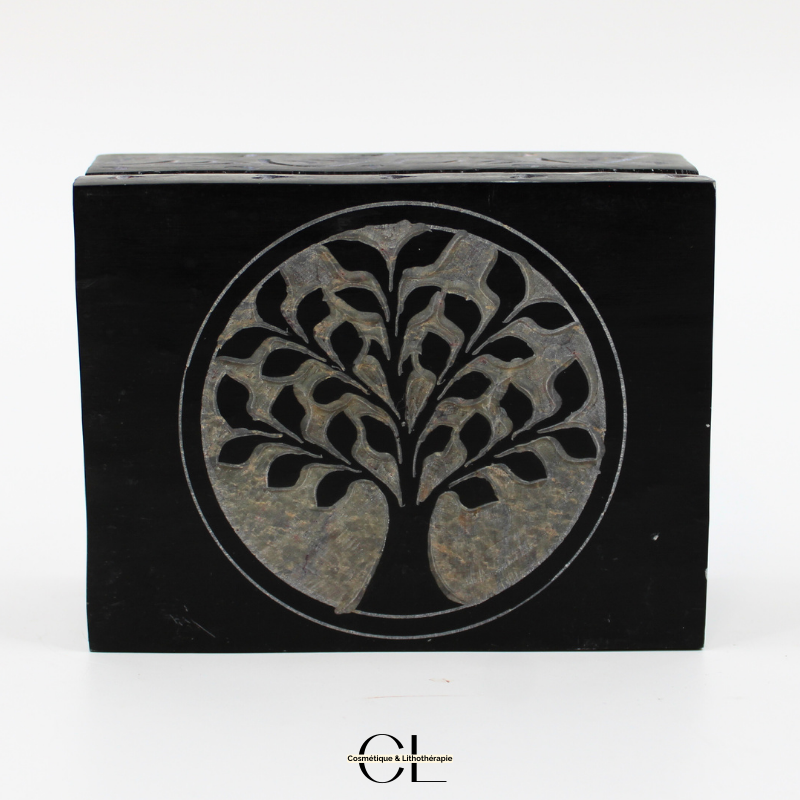 Boîte à bijoux en pierre Saponite rectangle Arbre de Vie 10cm Lithothérapie