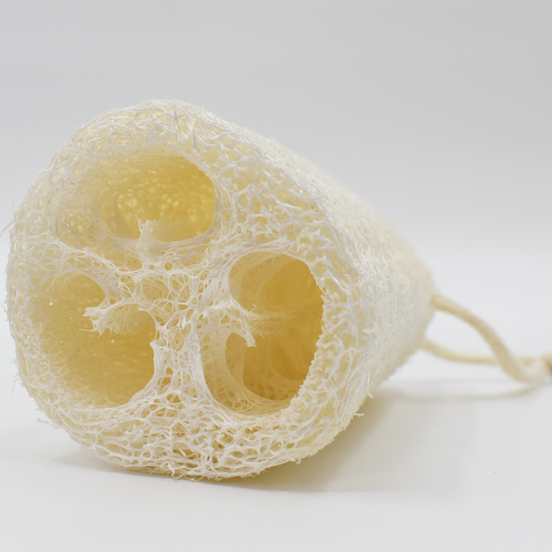 Luffa Cosmétique naturel