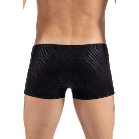 Boxer noir & gold Zebra Look Me