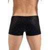 Boxer noir & gold Zebra Look Me