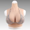 Buste fausse poitrine, col haut, Bonnet H