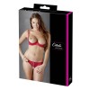 Soutien-gorge demi seins avec armatures et son string ouvert 