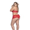 Ensemble lingerie, grande taille,  rouge top bustier et shorty dentelle   