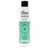 Shampoing cheveux gras 250ml Dr. Derehsan