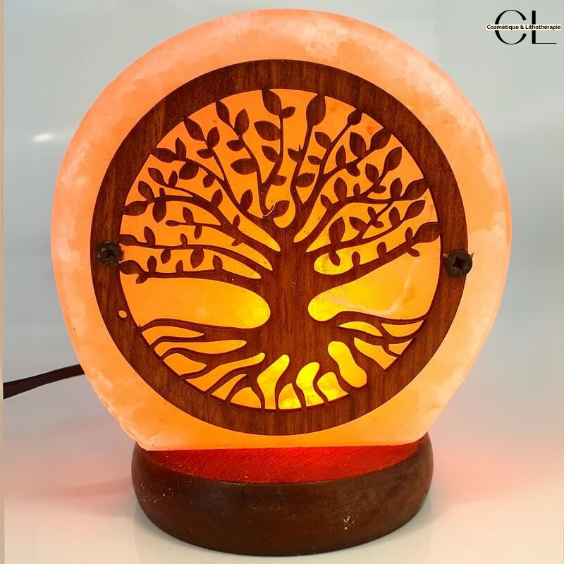 Lampe de Sel USB Arbre de Vie 1KG Lithothérapie