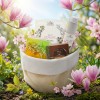 Box Spring – Coffret Beauté Naturelle & Bien-être Cosmétique naturel