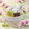 Box Spring – Coffret Beauté Naturelle & Bien-être Cosmétique naturel