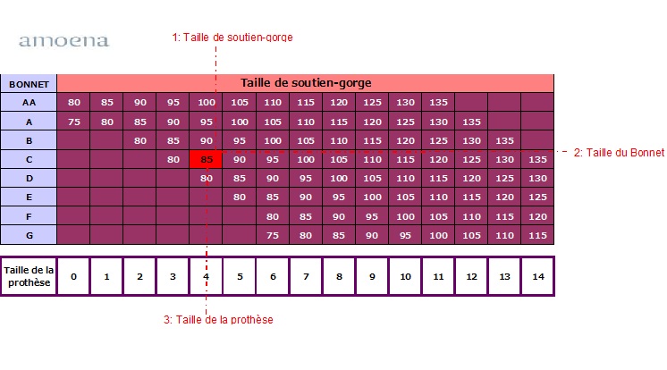 Tableau des taille